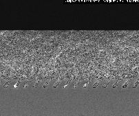 Photo_Metaprint_1_SOLNIL